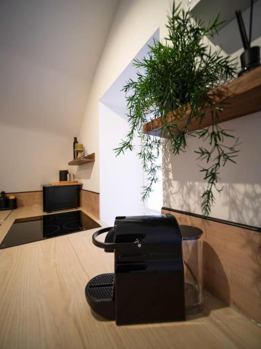 Le Cocon - Petit 2 Couchages - Centre Historique Apartment *